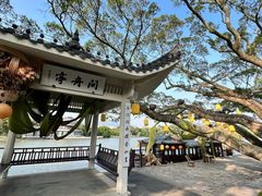 -江心屿景区