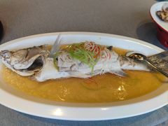 清蒸长寿鱼-东莱海上(长宁来福士店)