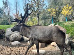 -北京野生动物园