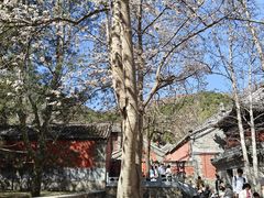 -潭柘寺景区