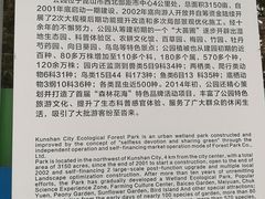 -昆山城市生态森林公园