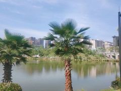 -枫香湖儿童公园