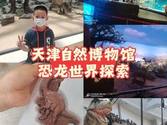 -天津自然博物馆