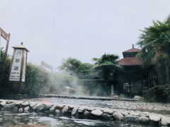 -金孔雀温泉旅游度假村