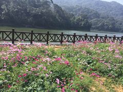 无限风光-广州市石门国家森林公园