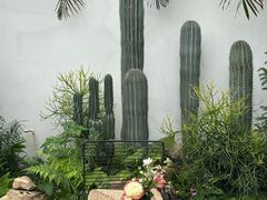 -自由生长植物工作室(深港花卉中心店)