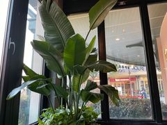-WOLFGANG PUCK KITCHEN & BAR(迪士尼小镇店)