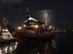 -台场海滨公园船码头