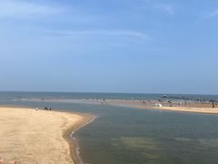 -日照海滨国家森林公园