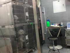 -宠福鑫康馨动物医院·骨科·眼科