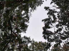 -天坛公园