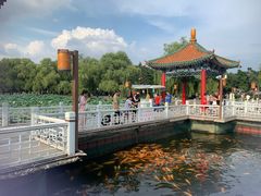 -长春市南湖公园