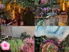 -正佳雨林生态植物园