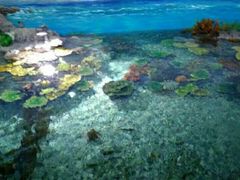 -福州罗源湾海洋世界旅游区