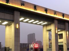 -东北农业大学