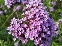 -千龙湖生态旅游度假区