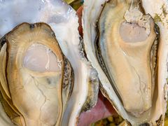 -巽寮印象美食部落餐厅·海鲜·地方特色菜(惠州体验店)