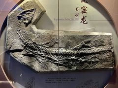 -贵州省地质博物馆