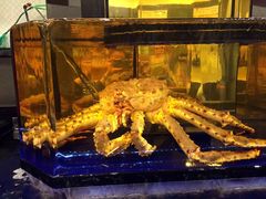 -蟹道乐(道顿堀本店)