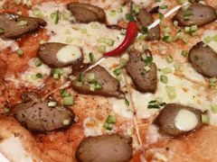 -达美乐比萨(双阳支路店)