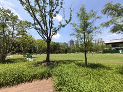 -和平公园