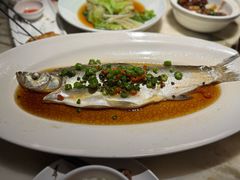 椒麻大白条-绿茶餐厅(朝阳大悦城店)