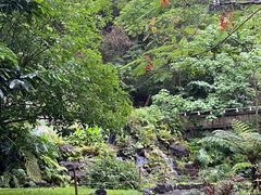 -深圳仙湖植物园