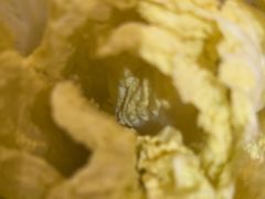 -重庆德庄火锅(映月湖环宇城店)