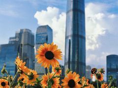 -海心沙亚运公园