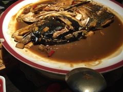 -旺顺阁鱼头泡饼(常营店)