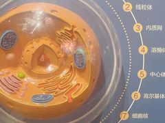 -湖南省地质博物馆