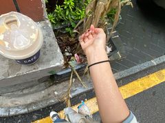 -森果咖啡(人民西路店)