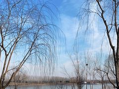 -东郊湿地公园