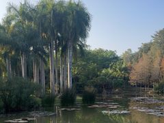 -中国科学院西双版纳热带植物园