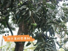 -微饮cafe