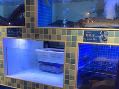 水产区-大河宴椒麻鱼(嘉和园店)