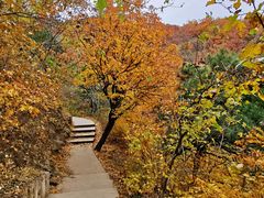 -北京西山国家森林公园