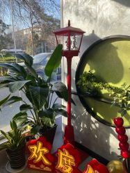-北京豆豆博士专业祛痘
