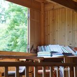上坪古村｜在武夷山脉，访古村，观莲荷，寻历史📖