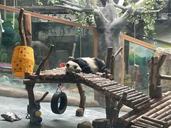 -青藏高原野生动物园