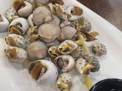 白灼杂螺拼-501號台州海鲜餐厅(海创园店)