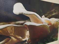 -嘉华饼屋JOY BAKERY(南屏街店)