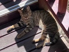 -终南山南五台景区