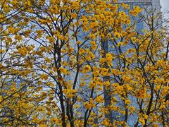 -龙湖重庆时代天街