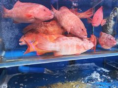 -鹊华居·地道鲁菜·海鲜·融合味(大明湖店)