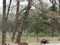 -北陵公园