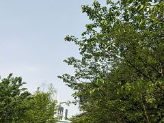 -百林公园-两江幸福广场
