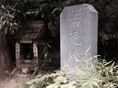 -活死人墓
