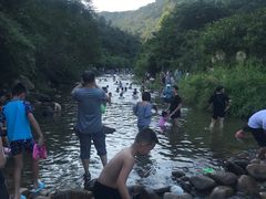 -象头山国家级自然保护区