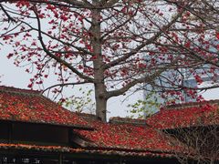 -喜洲吧·江畔老船厂·庭院餐厅(喜临院店)